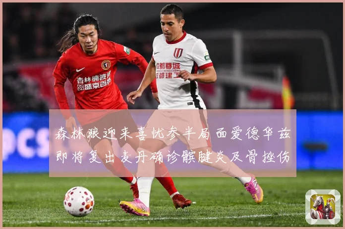 森林狼迎来喜忧参半局面爱德华兹即将复出麦丹确诊髌腱炎及骨挫伤成长观察