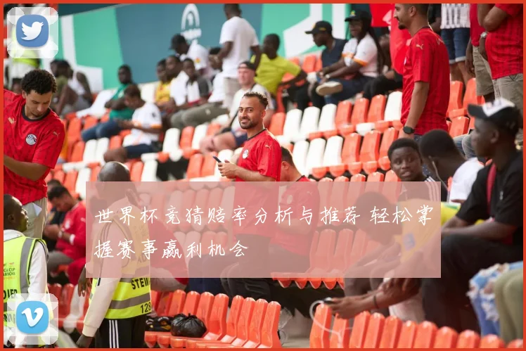 世界杯竞猜赔率分析与推荐 轻松掌握赛事赢利机会