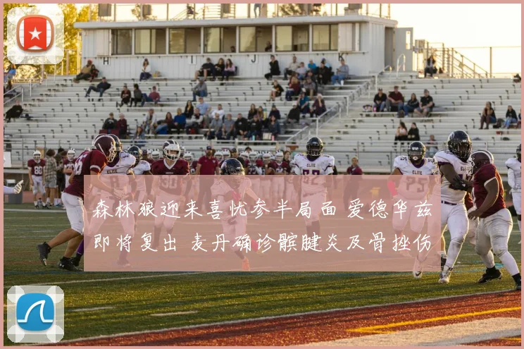 森林狼迎来喜忧参半局面 爱德华兹即将复出 麦丹确诊髌腱炎及骨挫伤