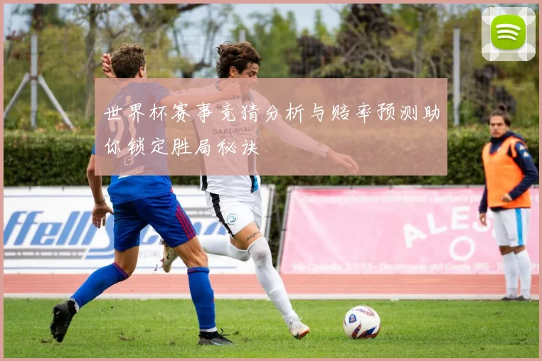 世界杯赛事竞猜分析与赔率预测助你锁定胜局秘诀
