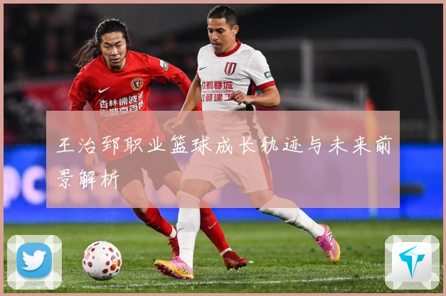 王治郅职业篮球成长轨迹与未来前景解析