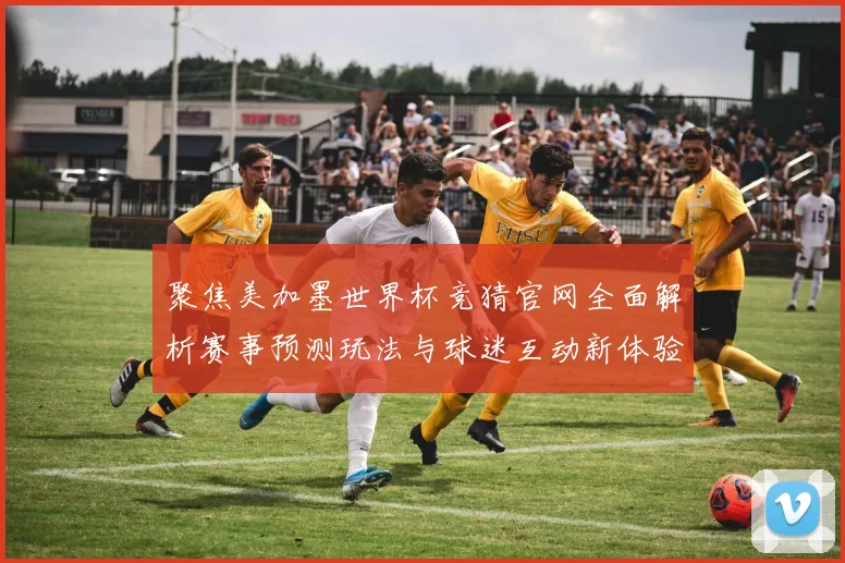 聚焦美加墨世界杯竞猜官网全面解析赛事预测玩法与球迷互动新体验