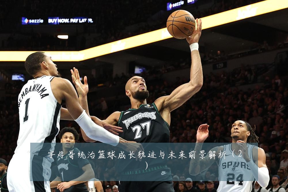 字母哥统治篮球成长轨迹与未来前景解析（2）